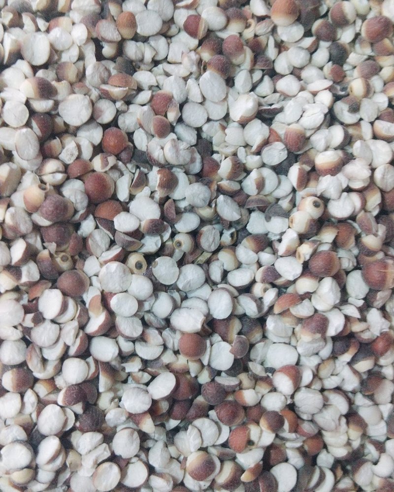 芡实大粒中粒质量可以