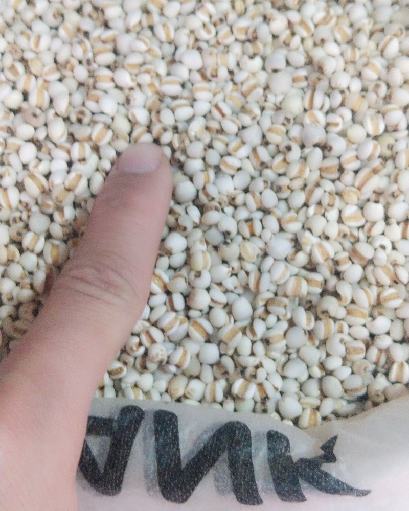小意米小薏米小薏米质量可以