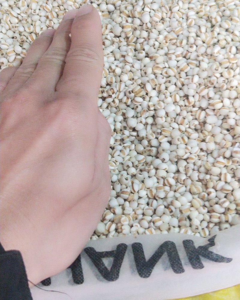 小意米小薏米小薏米质量可以