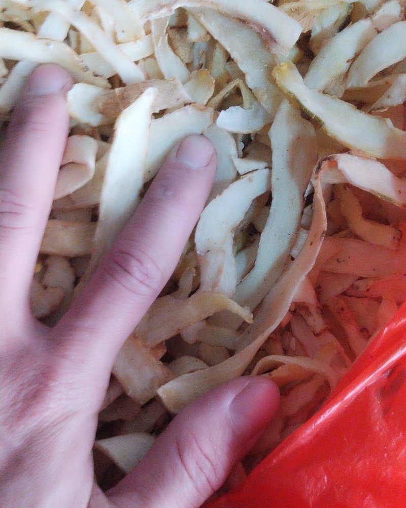 选货中大条质量好玉竹