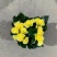 140玫瑰海棠，一箱25盆