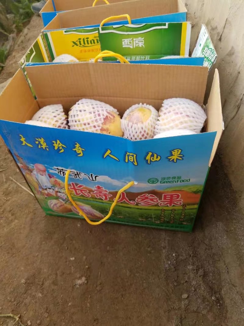 甘肃民勤人参果，多年专业代办，自产自销，诚信第一