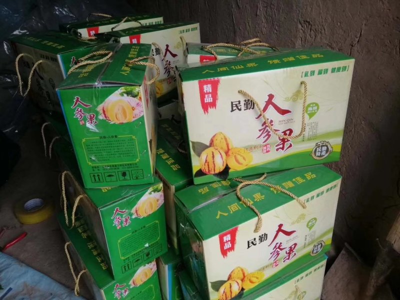 甘肃民勤人参果，多年专业代办，自产自销，诚信第一