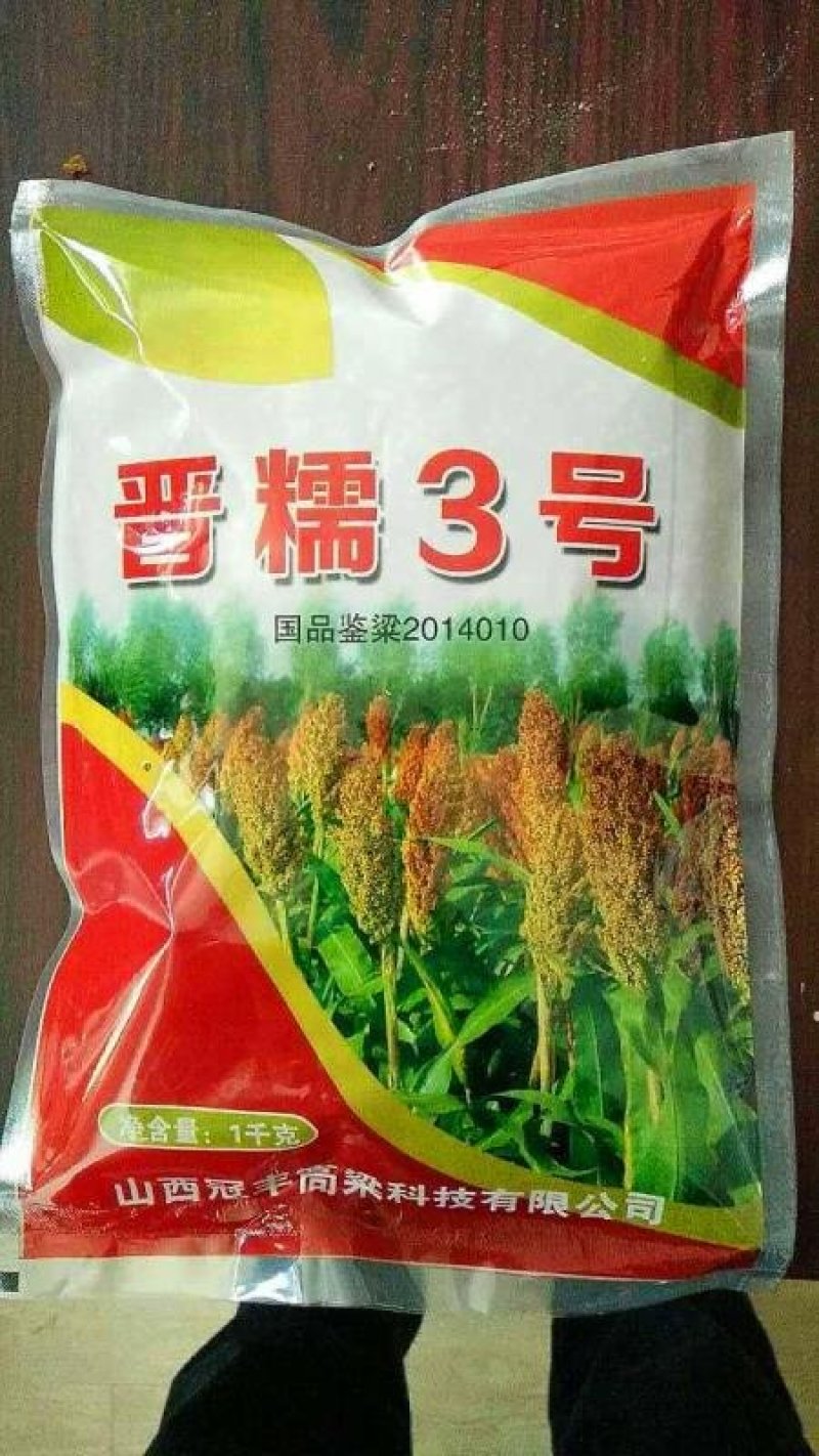 极早熟酿酒专用红高粱新品种惠杂5号高粱种子