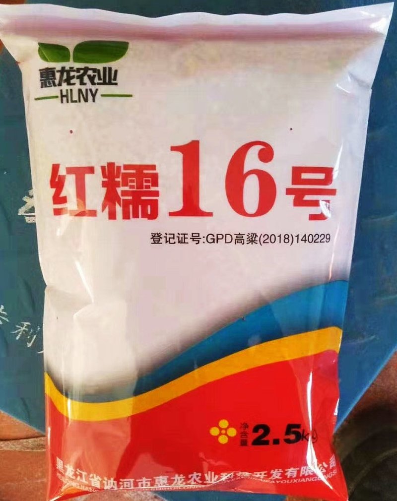 极早熟酿酒专用红高粱新品种惠杂5号高粱种子