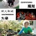 铁铲大铁锹儿童户外园艺种花平头小铲子种菜铲屎工具家用挖土