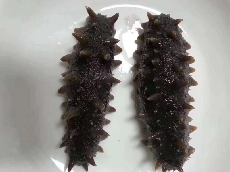 即食海参刺参辽参10条/斤免泡发