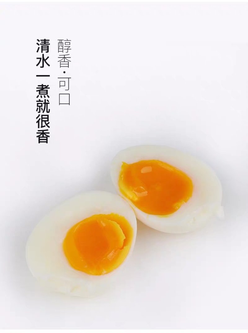 散养双色干净虫草蛋大量供应