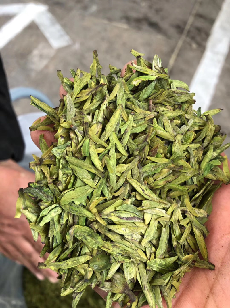 2020新茶上市
