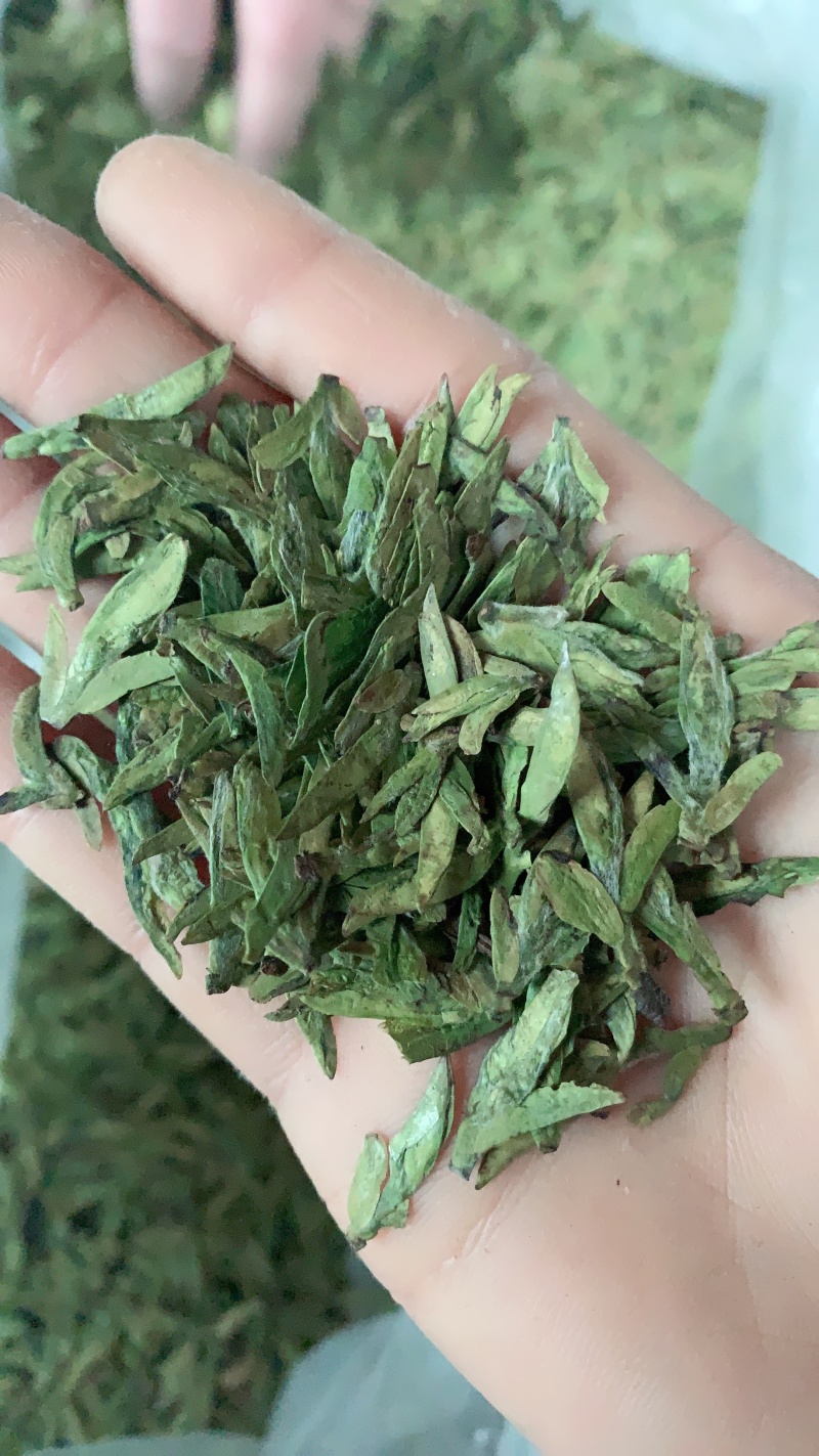 2020新茶上市