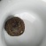 典雅糯香普洱茶熟茶云南普洱茶糯米香普洱茶小沱茶1斤浓香型