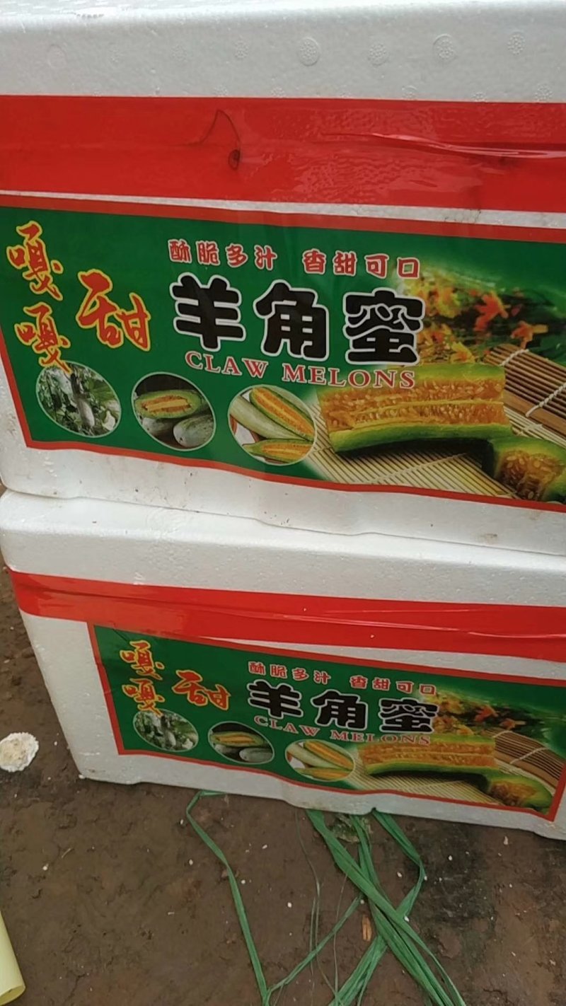 精品羊角蜜，产地直发中口感脆甜，包装小工齐全无中间商差价