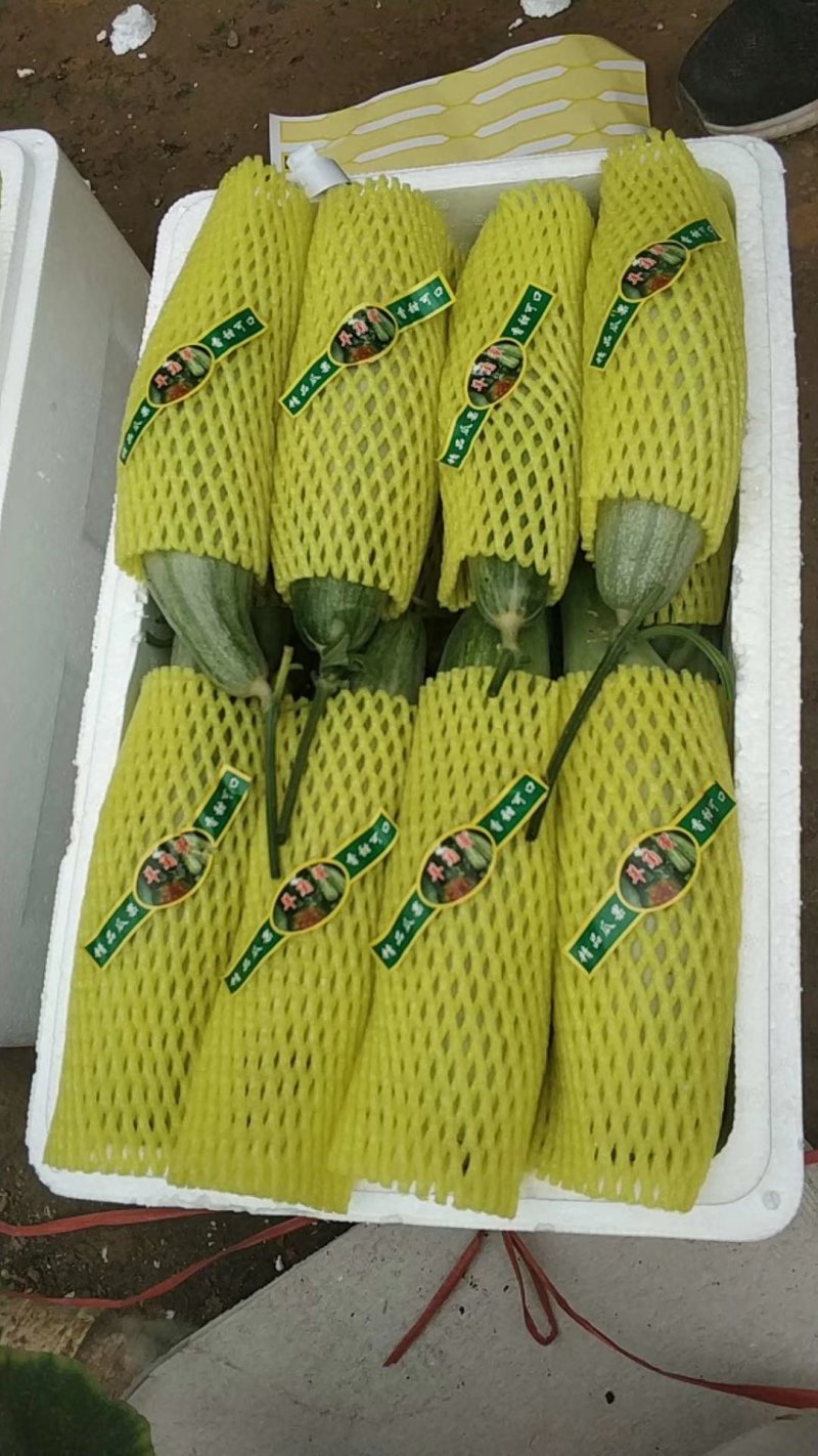 精品羊角蜜，产地直发中口感脆甜，包装小工齐全无中间商差价