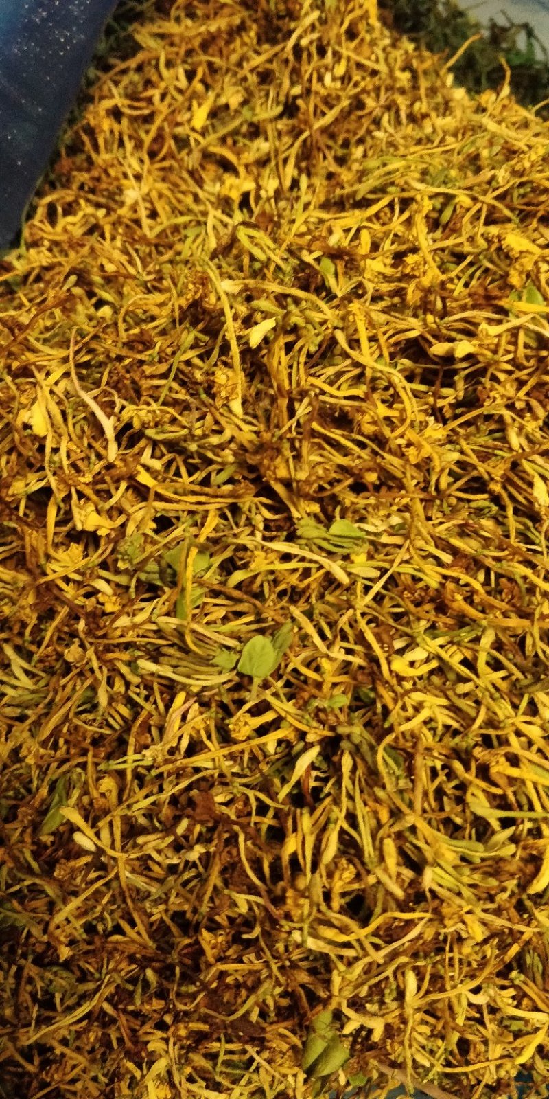 云南当地深山野金银花，香味够，干度脆。
