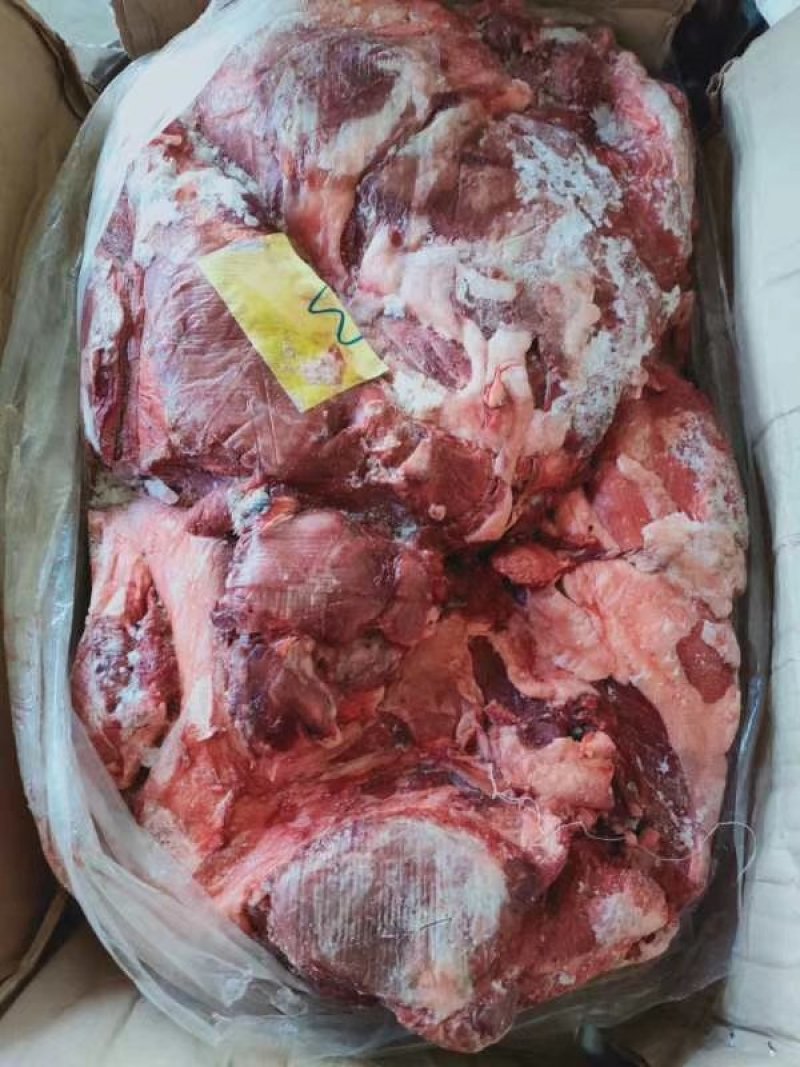蒙古马肉四分体，带腱子后腿肉，颜色好，出成高