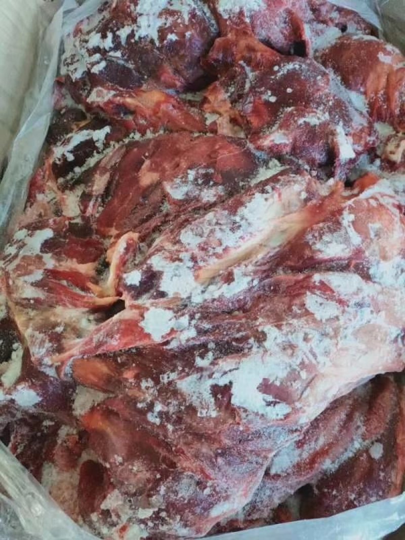 蒙古马肉四分体，带腱子后腿肉，颜色好，出成高