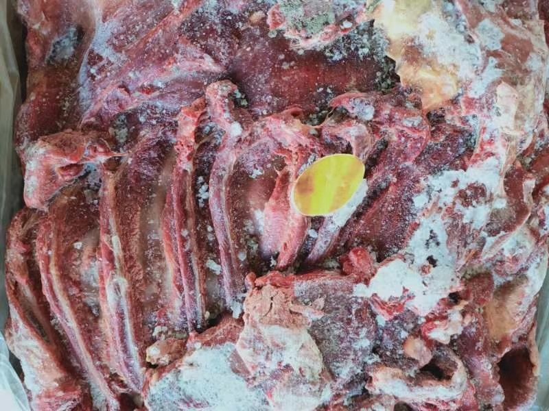 蒙古马肉四分体，带腱子后腿肉，颜色好，出成高