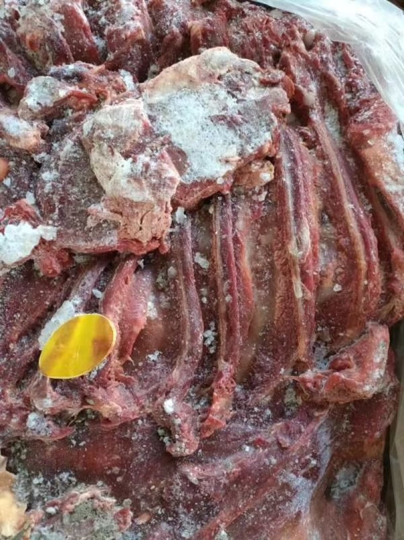 蒙古马肉四分体，带腱子后腿肉，颜色好，出成高