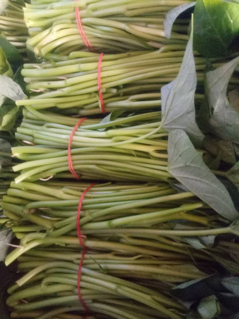 优质红薯叶，味道鲜美，多吃野菜，拒绝野味。