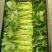 优质红薯叶，味道鲜美，多吃野菜，拒绝野味。