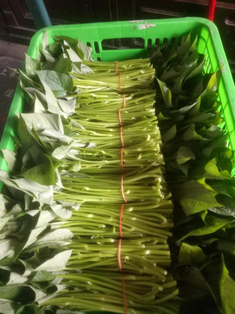 优质红薯叶，味道鲜美，多吃野菜，拒绝野味。