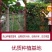 广西百香果酸甜精品原果酱有货特价大卖活动