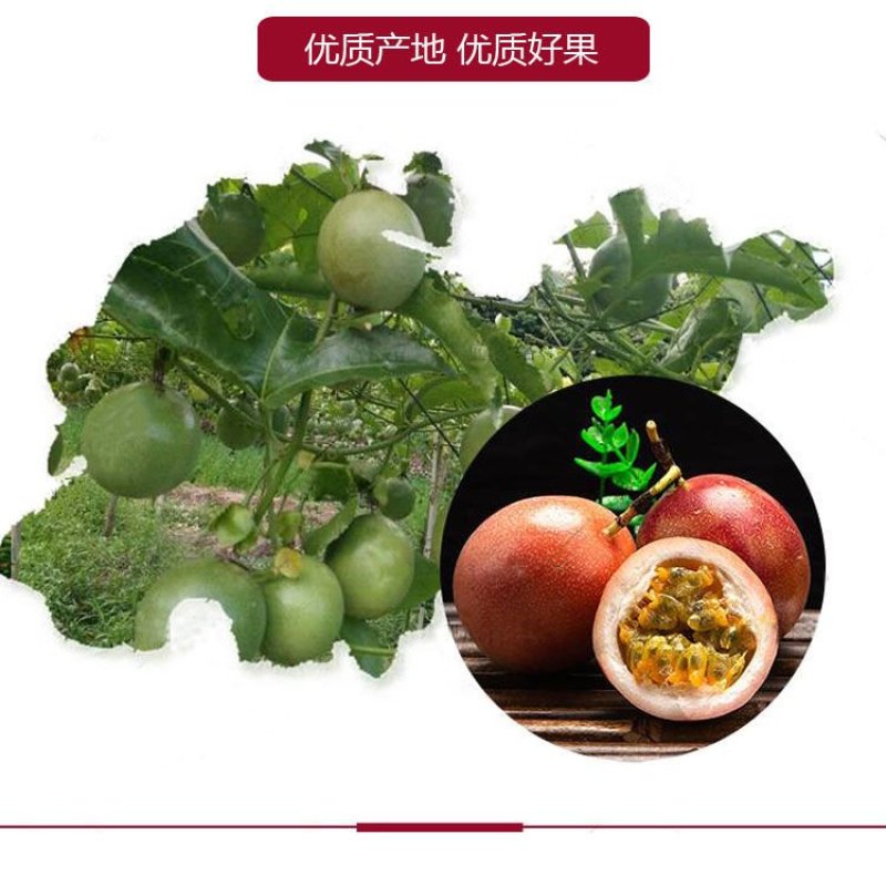 广西百香果酸甜精品原果酱有货特价大卖活动