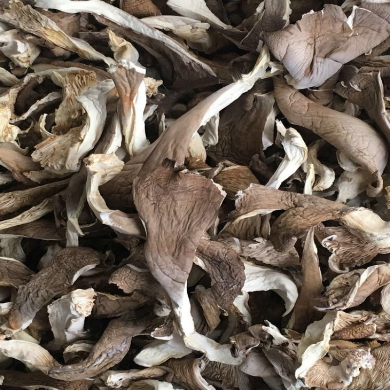 干平菇批发零售平菇干条一件代发苏北特产自产自销
