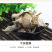 干平菇批发零售平菇干条一件代发苏北特产自产自销
