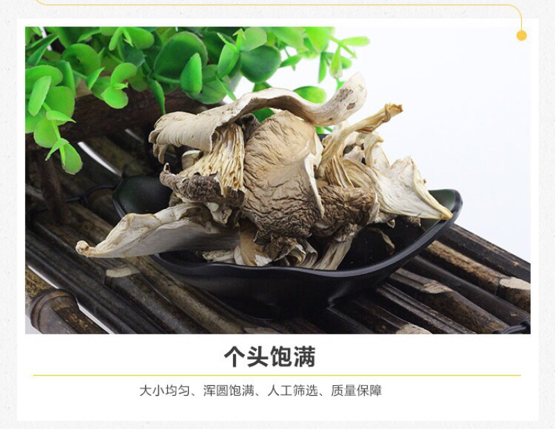 干平菇批发零售平菇干条一件代发苏北特产自产自销