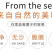 干平菇批发零售平菇干条一件代发苏北特产自产自销