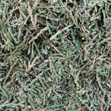 侧柏叶【包邮】三斤起发货可批量可零售量大从优