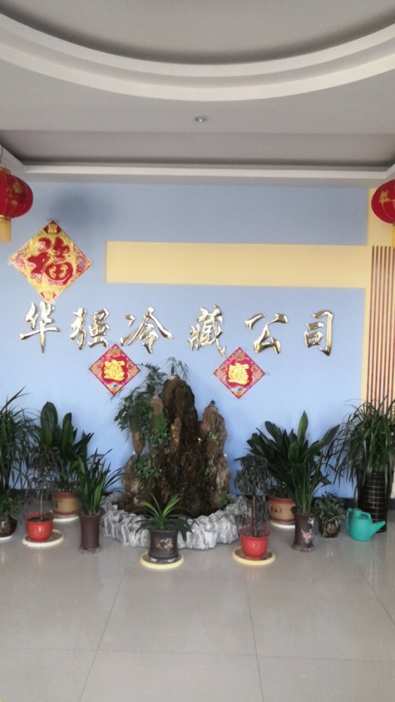 【优品】出售优质苍山蒜苔射阳蒜苔品质保证量大从优