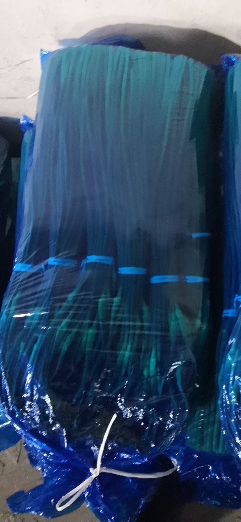 【优品】出售优质苍山蒜苔射阳蒜苔品质保证量大从优