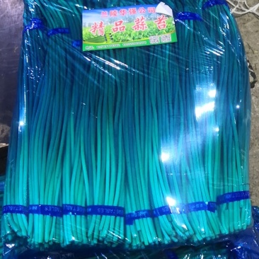 【优品】出售优质苍山蒜苔射阳蒜苔品质保证量大从优