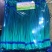 【优品】出售优质苍山蒜苔射阳蒜苔品质保证量大从优