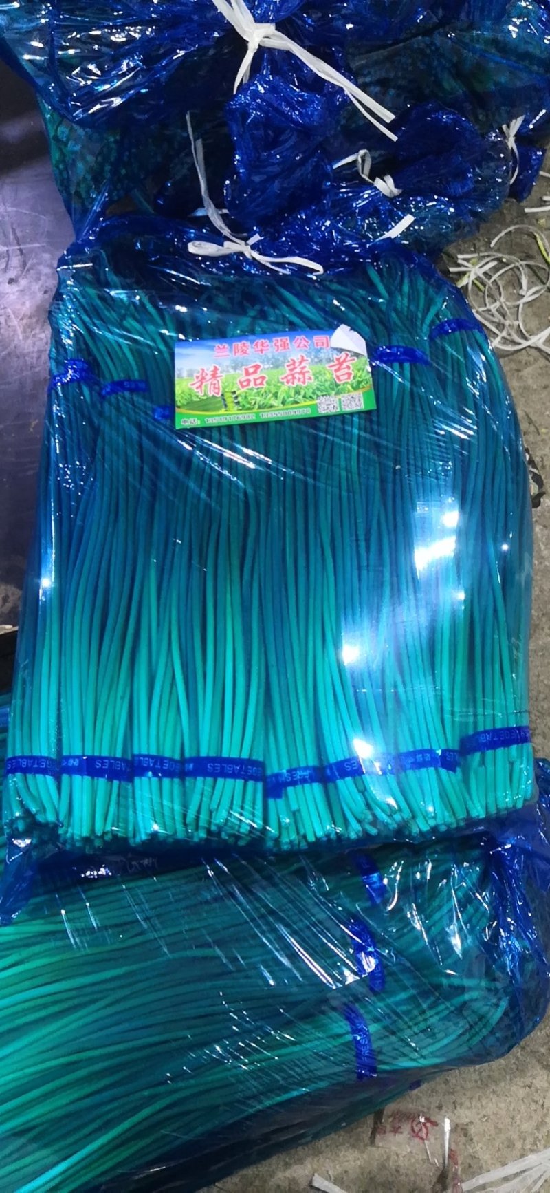 【优品】出售优质苍山蒜苔射阳蒜苔品质保证量大从优