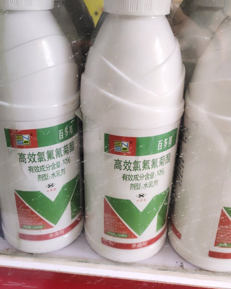 百农思达百多邦10%高效氯氟氰菊酯小麦蚜虫杀虫剂