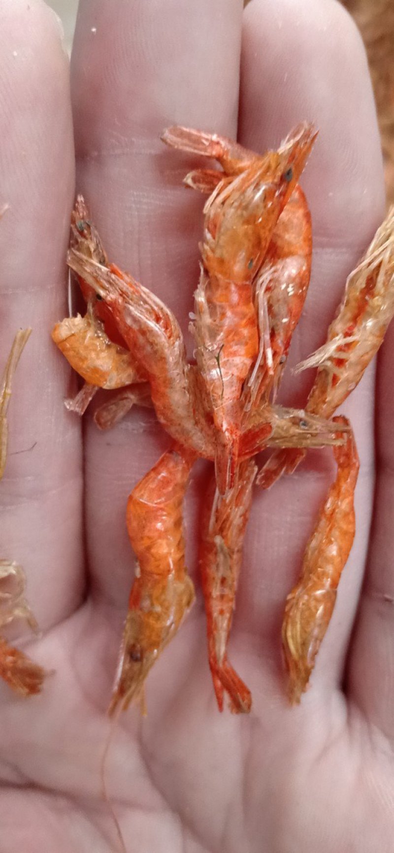 虾干河虾干度好，颜色红