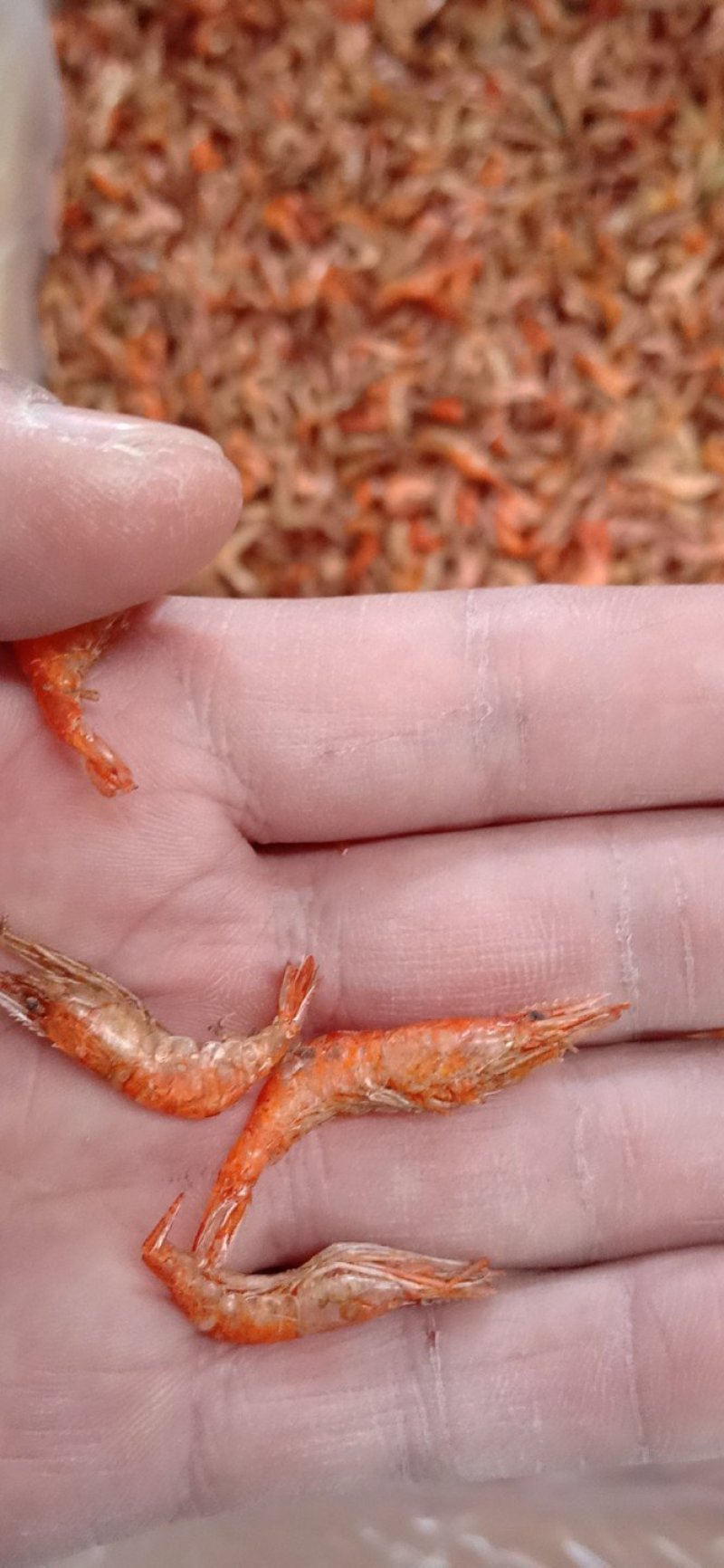虾干河虾干度好，颜色红