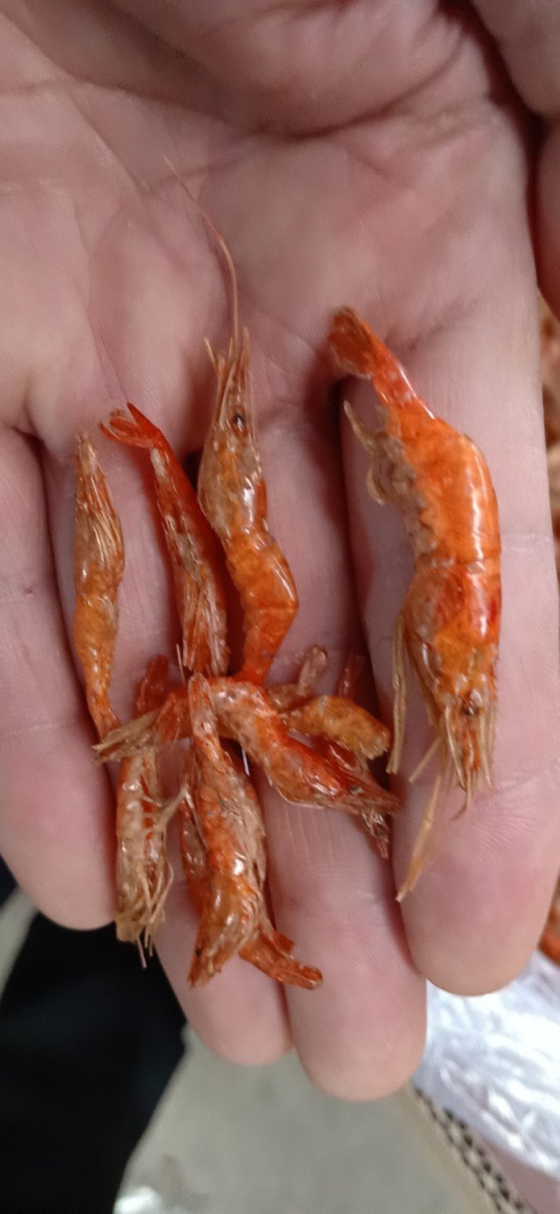 虾干河虾干度好，颜色红
