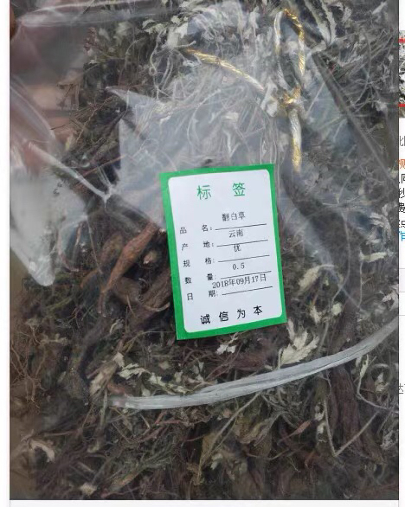 翻白草包邮翻白草干货农家初选农副土特产品