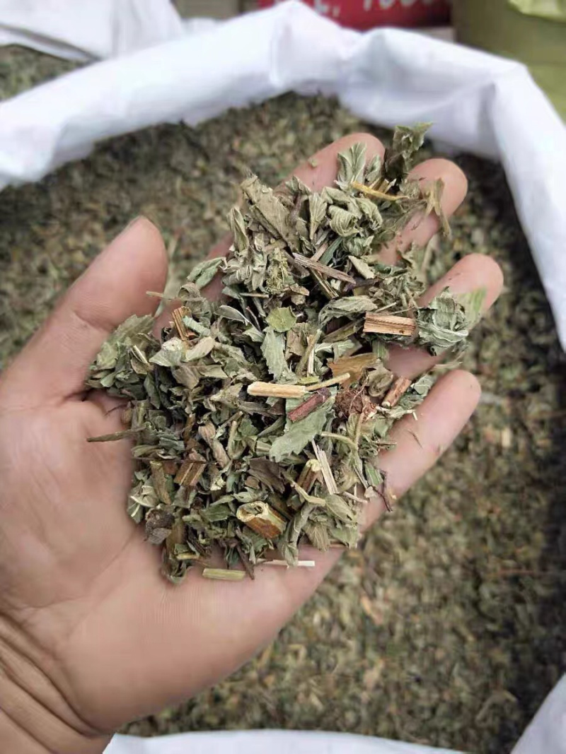 仙鹤草龙牙草老鹳嘴草龙牙狼牙草农家初选