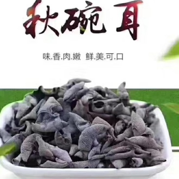 黑木耳特级柞木秋木耳一斤起卖包邮产地直供当天发货
