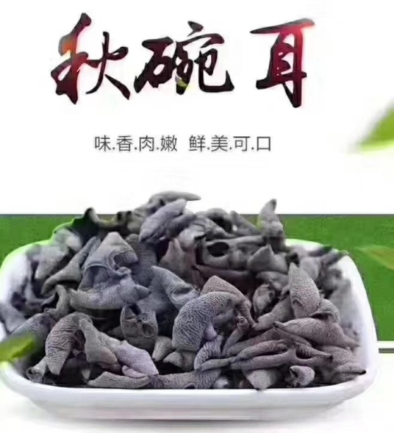 黑木耳特级柞木秋木耳一斤起卖包邮产地直供当天发货