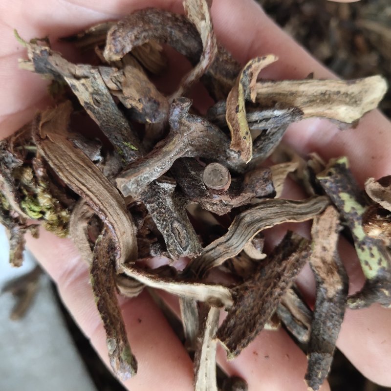骨碎补生毛姜新货关书药业批发中药材花果茶