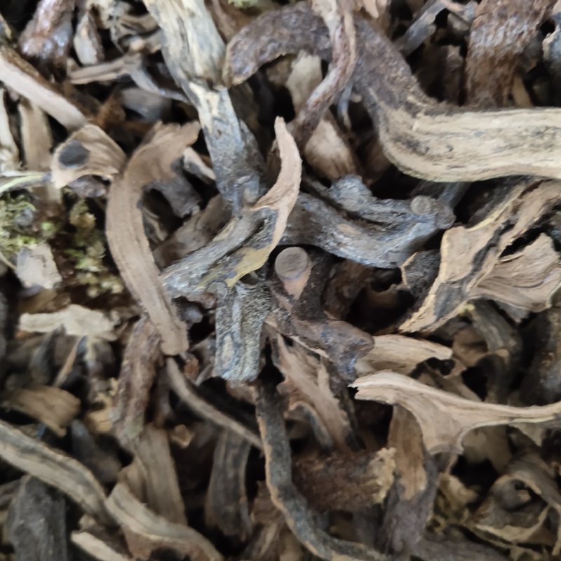 骨碎补生毛姜新货关书药业批发中药材花果茶