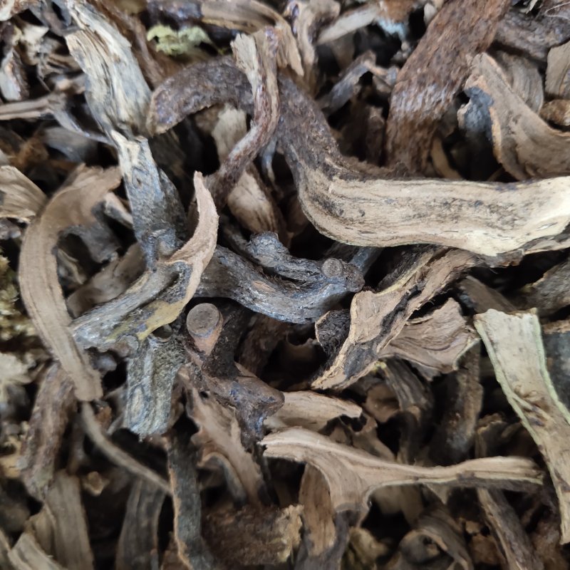 骨碎补生毛姜新货关书药业批发中药材花果茶