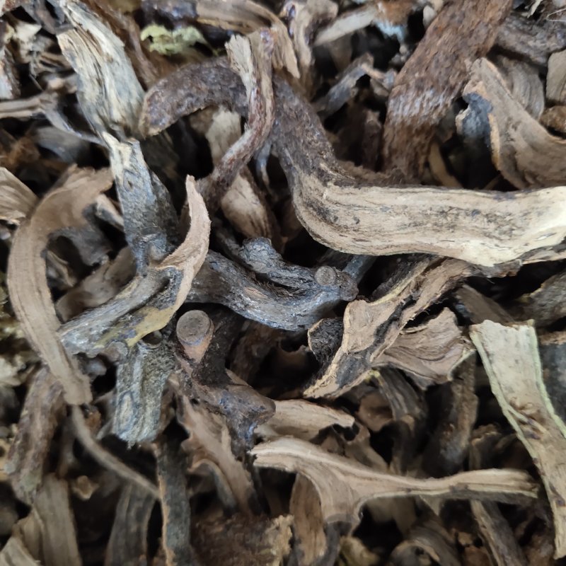 骨碎补生毛姜新货关书药业批发中药材花果茶