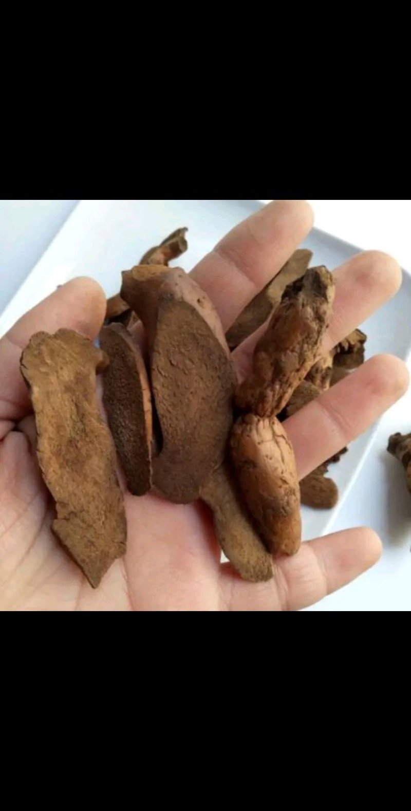 骨碎补，烫骨碎补统关书药业批发中药材规格齐全